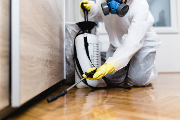 Reliable Midway, NC Pest Control Solutions