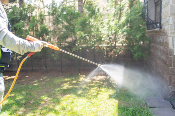 Best Affordable Pest Control Services  in Midway, NC