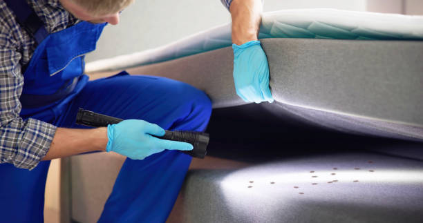Best Wasp Removal Services  in Midway, NC