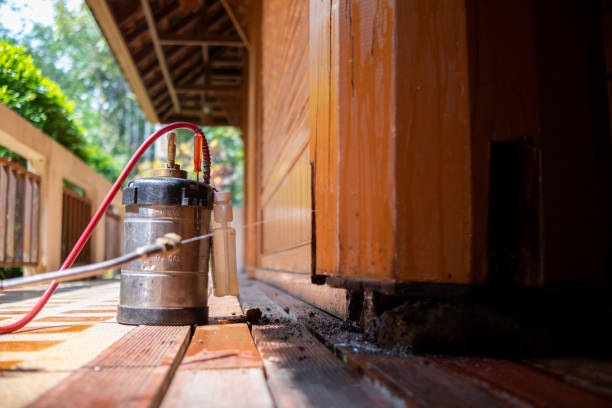 Reliable Midway, NC Pest Control Solutions