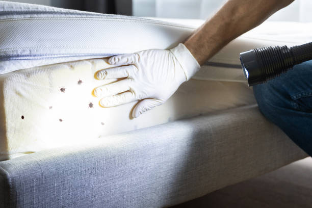 Best Commercial Pest Control Services  in Midway, NC