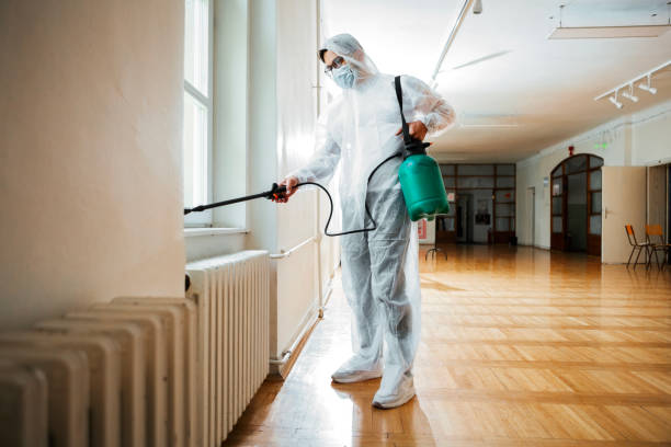 Best Affordable Pest Control Services  in Midway, NC