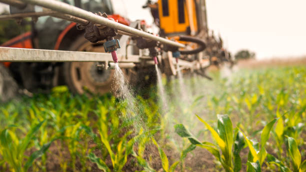 Best Mosquito Control Services  in Midway, NC
